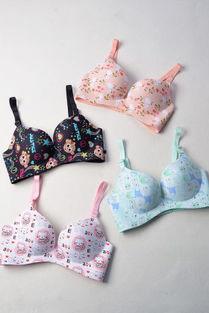 性感内衣动漫,性感内衣动漫风情解析